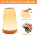 Table Lamp Touch Night Light - Portable Sensor Remote Control Bedside Lamps with Quick Rechargeable USB Dimmable Warm White Light 13 Colors  Table Lamp for Bedroom Living Room Office (White)